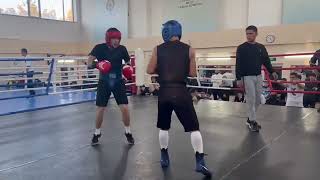 Mujibillo Tursunov vs Ruslan Abdullaev 635 kg technical sparring [upl. by Nataline223]