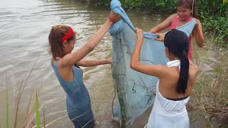 Amazing fishing at Battambang  people fishing in Cambodia  How to Catches fish Part 272 [upl. by Peddada]