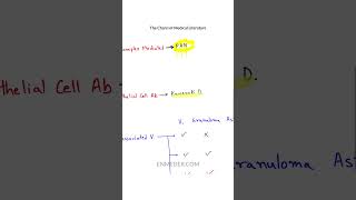 Vasculitis Classification tcml [upl. by Assetan435]