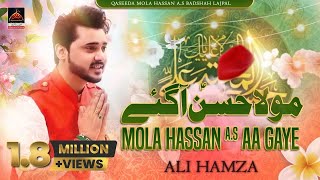 Mola Hassan As Aa Gaye  Ali Hamza  Qasida Amad E Mola Hassan  New Qasida  2017 [upl. by Niuq330]