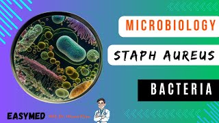 Staphylococcus Aureus  Microbiology EASYMED  DR USAMA KHAN [upl. by Alya287]