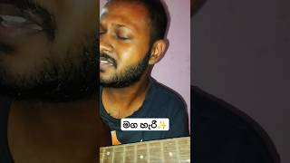 මග හැරී  Maga haree Cover [upl. by Opportina]