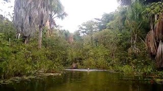 Igarapé do rio grande em Bacuriteua Marapanim Pará [upl. by Eicnan334]