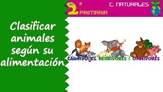 Ciencias de la Naturaleza 2º Primaria Tema 4 Clasificamos los animales según su alimentación [upl. by Helga]