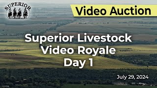 Superior Livestock AuctionVideo Royale Day 1 [upl. by Abernon]