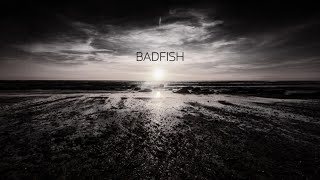 Badfish Sublime Cover  Michael Walls [upl. by Attebasile]