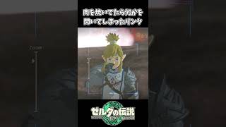 【ティアキン】肉を焼いてたら何かを閃いたリンク【ゼルダの伝説 ティアーズ オブ ザ キングダム】 [upl. by Eniluj]