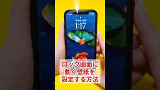 【iPhone】ロック画面に自分で撮った動く壁紙を設定する方法！iphone iphone壁紙 ロック画面 LivePhotos スマキン [upl. by Anirrok]