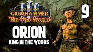 The Spear of Kurnos  Orion 9  The Old World Campaign  SFO Grimhammer 3 [upl. by Asertal412]