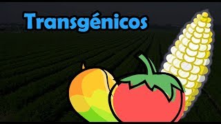 Hablemos de Monsanto y los Transgénicos  Lalo Rams [upl. by Tronna]