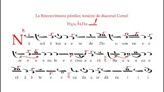 Născătoare de Dumnezeu Fecioară Gl5 de diac Constantin Cornel Coman [upl. by Ahon467]