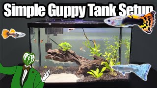 Simple 5 Gallon Guppy Tank Setup [upl. by Kenward290]