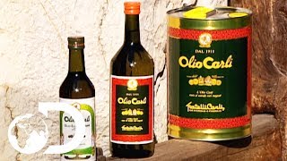 OLIVE OIL  How Its Made [upl. by Tloc]