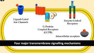 Receptors and Second Messenger system Gprotein Enzyme linked and Ligand gated ion channels [upl. by Eilak]