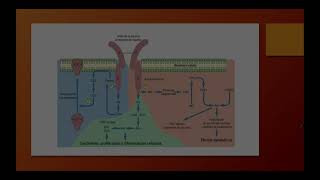 Diabetes Revisión del tema [upl. by Bettina813]