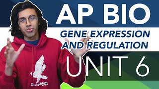 AP Biology Unit 6 Crash Course Gene Expression and Regulation [upl. by Prince360]