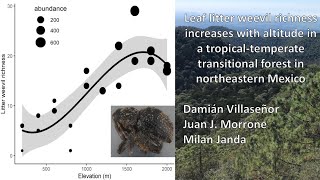 Leaf litter weevil richness increases with elevation in a tropical forest in northeastern Mexico [upl. by Rosemary]