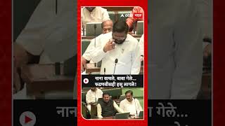 Eknath Shinde speech Vidhan Sabha  नाना वाचले बाबा गेले विरोधकांना धुतलं फडणवीसही हसू लागले [upl. by Mcdonald170]