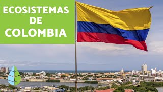 ¿Cuáles son los ECOSISTEMAS de COLOMBIA [upl. by Lally119]