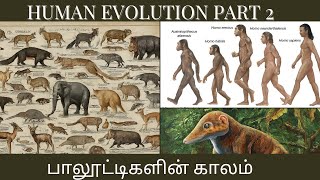 HUMAN EVOLUTION PART 2  பாலூட்டிகளின் காலம் மற்றும் மனிதனின் பரிணாம வளர்ச்சி [upl. by Concoff]