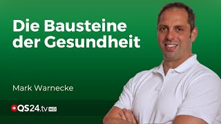 Aufbau amp Heilung Die essenzielle Bedeutung von Proteinen amp Aminosäuren für Ihre Gesundheit  QS24 [upl. by Fihsak]