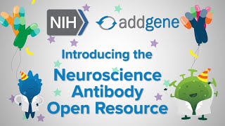 Announcing Addgenes Neuroscience Antibody Open Resource NABOR [upl. by Northrop819]