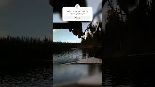 Do you prefer Fall or Spring fishing fish fishing fishingvideo fishinglife fishingislife [upl. by Ociredef]