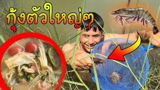 ต้มยำกุ้งน้ำข้น อร่อยเวอร์ เชฟโนบิEP4 [upl. by Karab91]