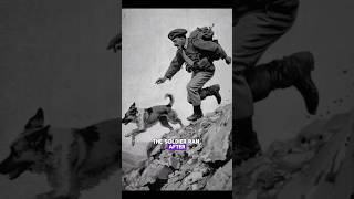 War Over a Dog history shorts [upl. by Vassar]