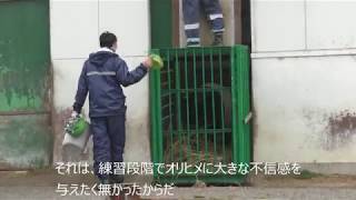 マレーバク オリヒメのお引越しの朝 東武動物公園 [upl. by Lunnete]