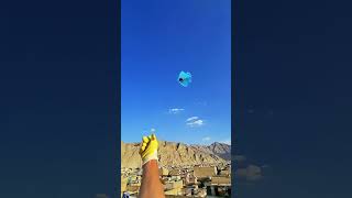 Big Kite Kite Flying Kite Trick kite kites kiteflying patang subscribe ytshorts shorts viral [upl. by September]