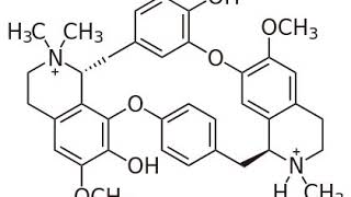 Tubocurarine chloride  Wikipedia audio article [upl. by Synn]