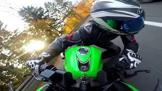 Kawasaki Ninja 300  Golden Autumn 60fps [upl. by Wilt144]