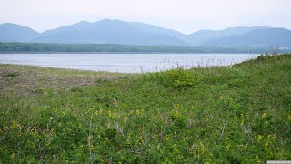 JG HDR 北海道 サロマ湖の初夏 HokaidoSaromako lake in Early Summer [upl. by Jenelle]