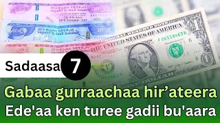 sharafa gabaa guracha guyyaa haraa November 16 Olmaa sharafa mallaaqa gabaa gurrachaa fi bankii [upl. by Durand]