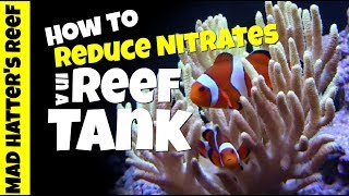 HOW TO Reduce Nitrates in a Reef Tank Without Water Changes [upl. by Inahet]