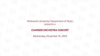 Chamber Strings Concert [upl. by Ydwor]