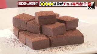 【生チョコ】チョコ専門店をオープンしたのは「障害者の就労支援施設」 障害者の賃金が低い現実に立ち上がる 2024年8月13日 [upl. by Ahsimet888]