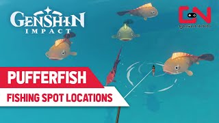 Pufferfish Locations Genshin Impact  Fishing Spots amp Which Bait to Use [upl. by Kenimod167]