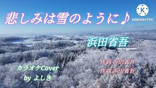 悲しみは雪のように♪︎浜田省吾／カラオケCover byよしき [upl. by Pokorny395]