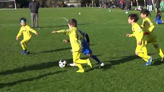 20240804 Riversdale SC vs Monash City Villareal FC U7K 4  1 [upl. by Pippa]