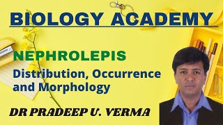 Nephrolepis ClassificationDistribution Occurence and External Morpholohy [upl. by Schapira972]