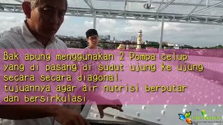 CARA PEMBUATAN SIRKULASI RAKIT APUNG  HIDROPONIK [upl. by Simonne105]