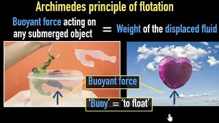 Archimedes principle amp buoyancy  fluids  Physics  Khan Academy [upl. by Simonsen940]