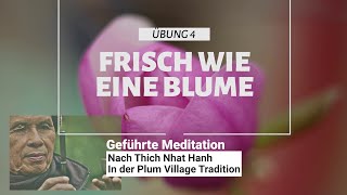 Geleitete Meditation für Körper amp Geist quotFrische Blumequot  Thich Nhat Hanh  Geführte Meditation [upl. by Asial]