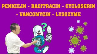 Penicilin  Bacitracin  Cycloserin  Vancomycin  Lysozyme ThuốcKhángSinh [upl. by Annawek]