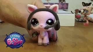 Littlest Pet Shop  Model Search by sithapple [upl. by Aztirak94]