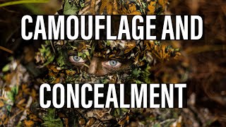 CAMOUFLAGE IN THE BUSH  How to employ camouflage and concealment methods in escape and evade [upl. by Ahtikal372]