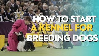 Dog Breeding  11 Super Effective Strategies on How to Start a Kennel for Breeding Dogs [upl. by Sension271]