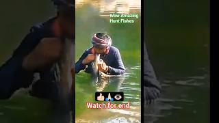 fishing hunting Tremendous hunt for Himalayan trout fish shorts ytshorts fish trout fishing [upl. by Merrill]